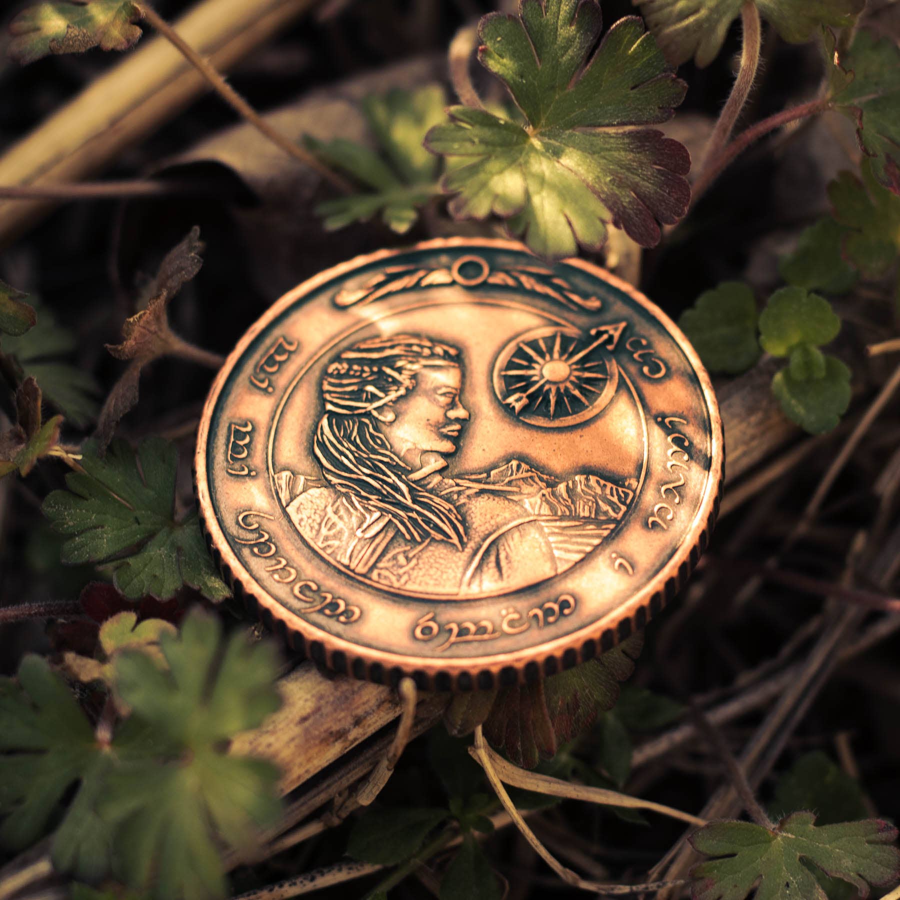 Shire Post Mint - Wholesale Keepsake Coin/Token - Middle Earth™ Wayfinder in solid Copper3