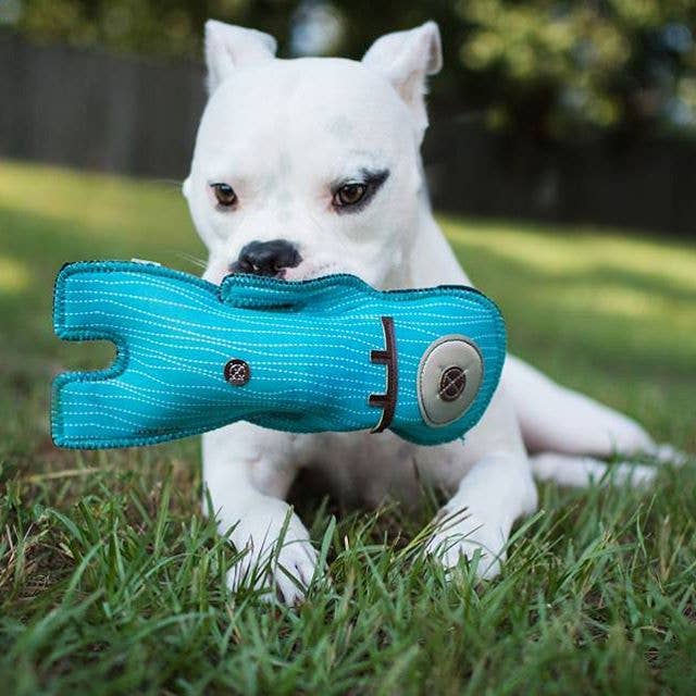 Jax & Bones – wholesale Pet toy – Dog – Zeus the Alien Neoprene Dog Toy (One Size)1