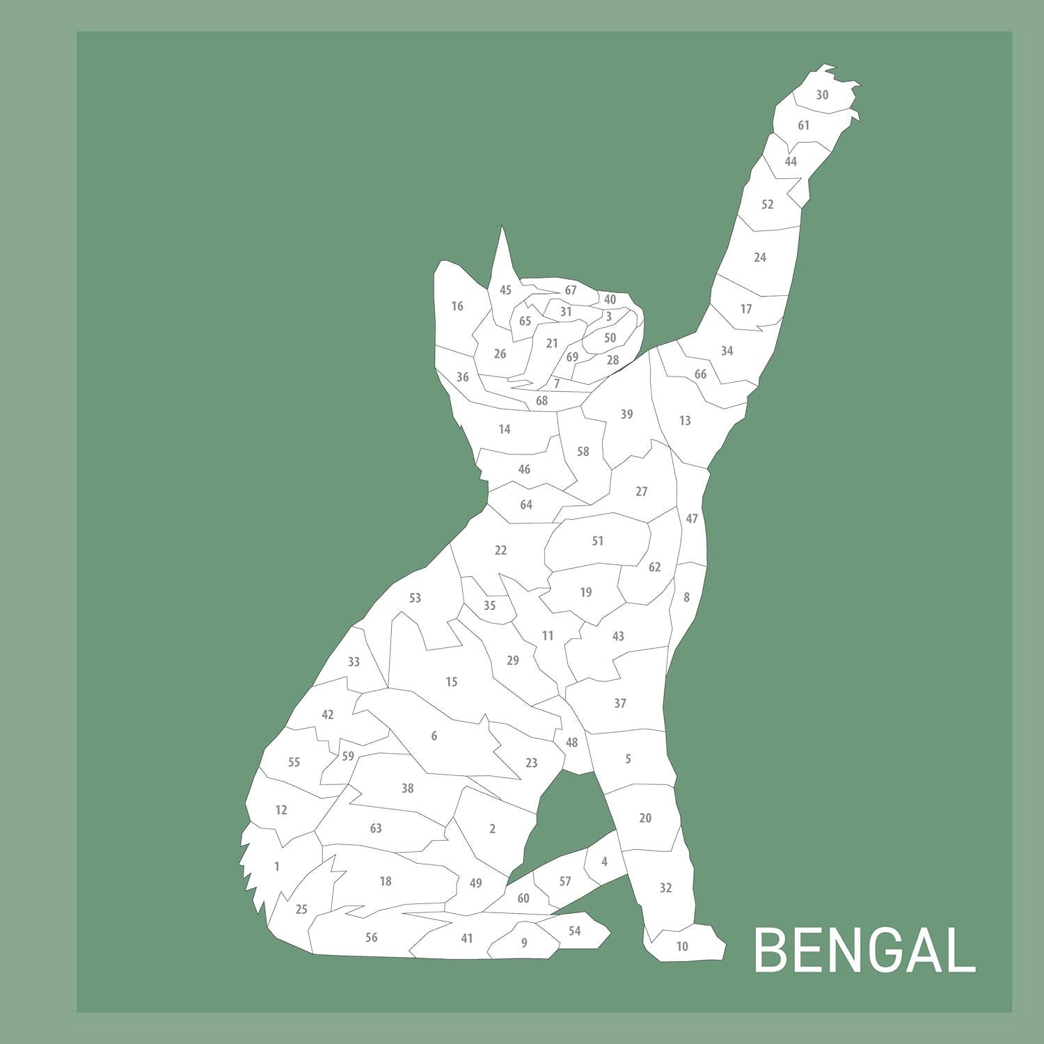 Fox Chapel Publishing - Vente Livre de coloriage et d'activités pour enfants et bébés - Mes peintures autocollantes : Chats - 10 félins incroyables2