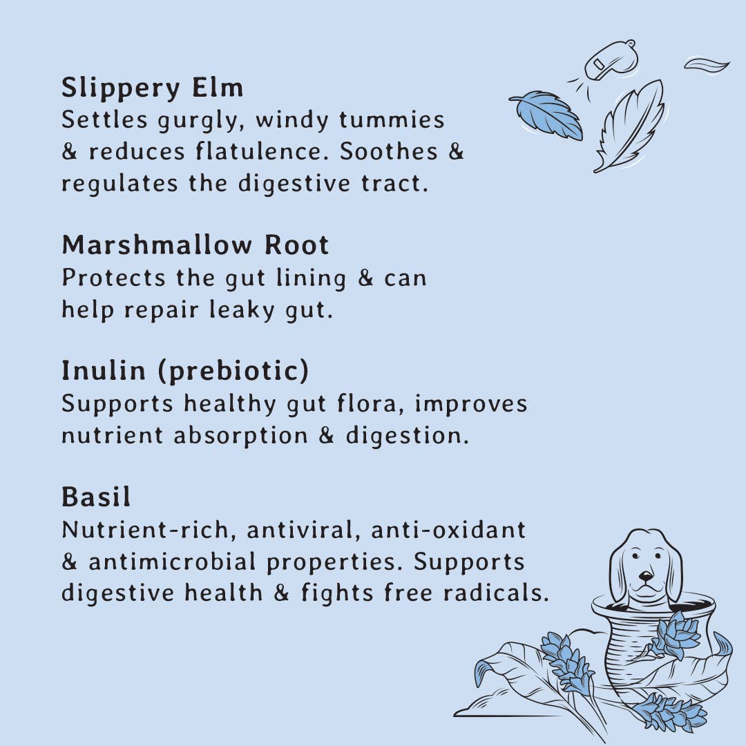 Gizzls – Engroshandel Godbid - Hund – Gizzls 100% naturlige hundegodbidder til tarmstøtte3