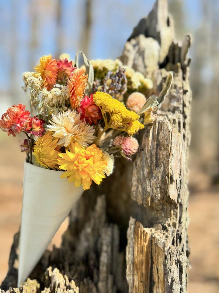 Small Dried Bouquet for wholesale by Wildhearted