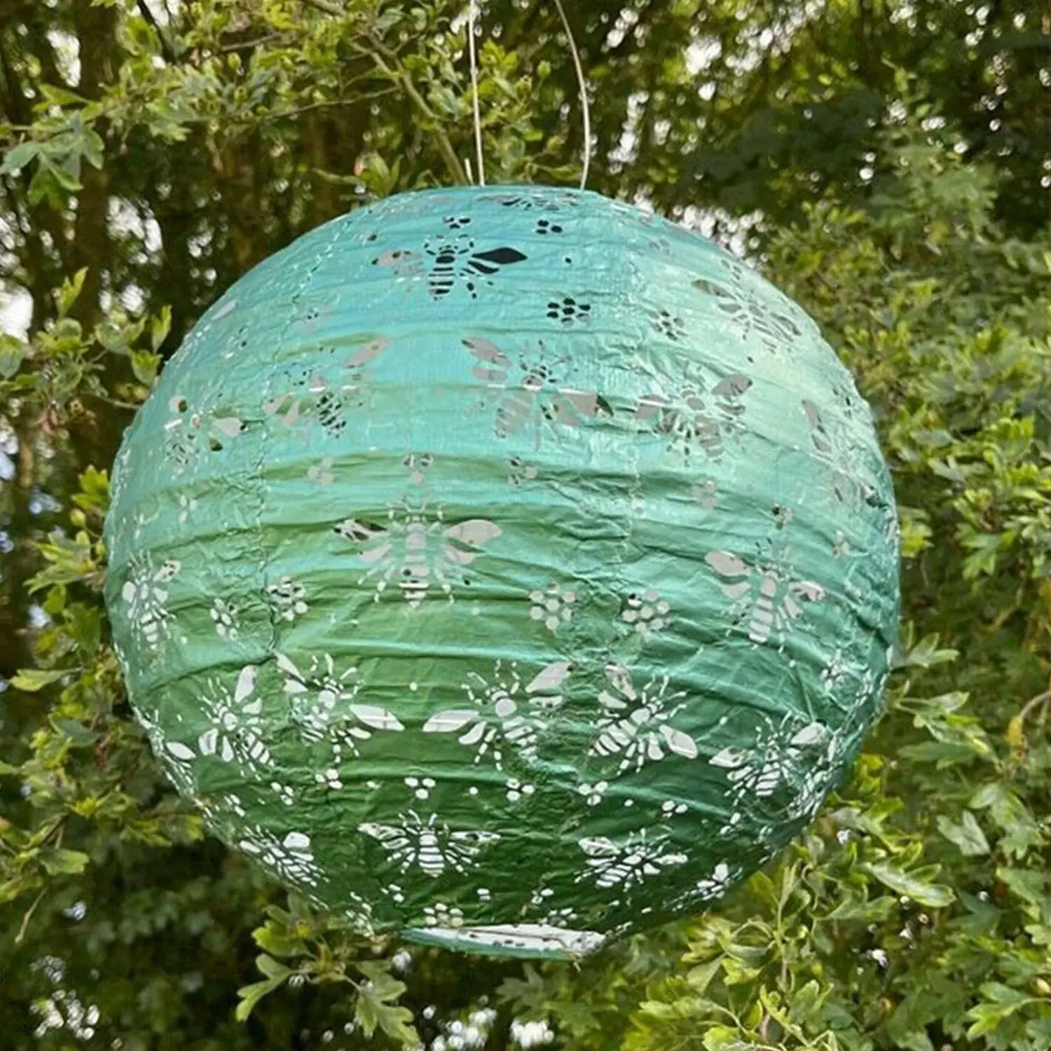 Delicious Designs Ltd - Wholesale Lantern - Solar Lantern - Green Bees 30cm1