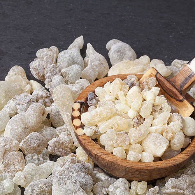 Sun's Eye - Wholesale Essential Oil - Frankincense Essential Oil