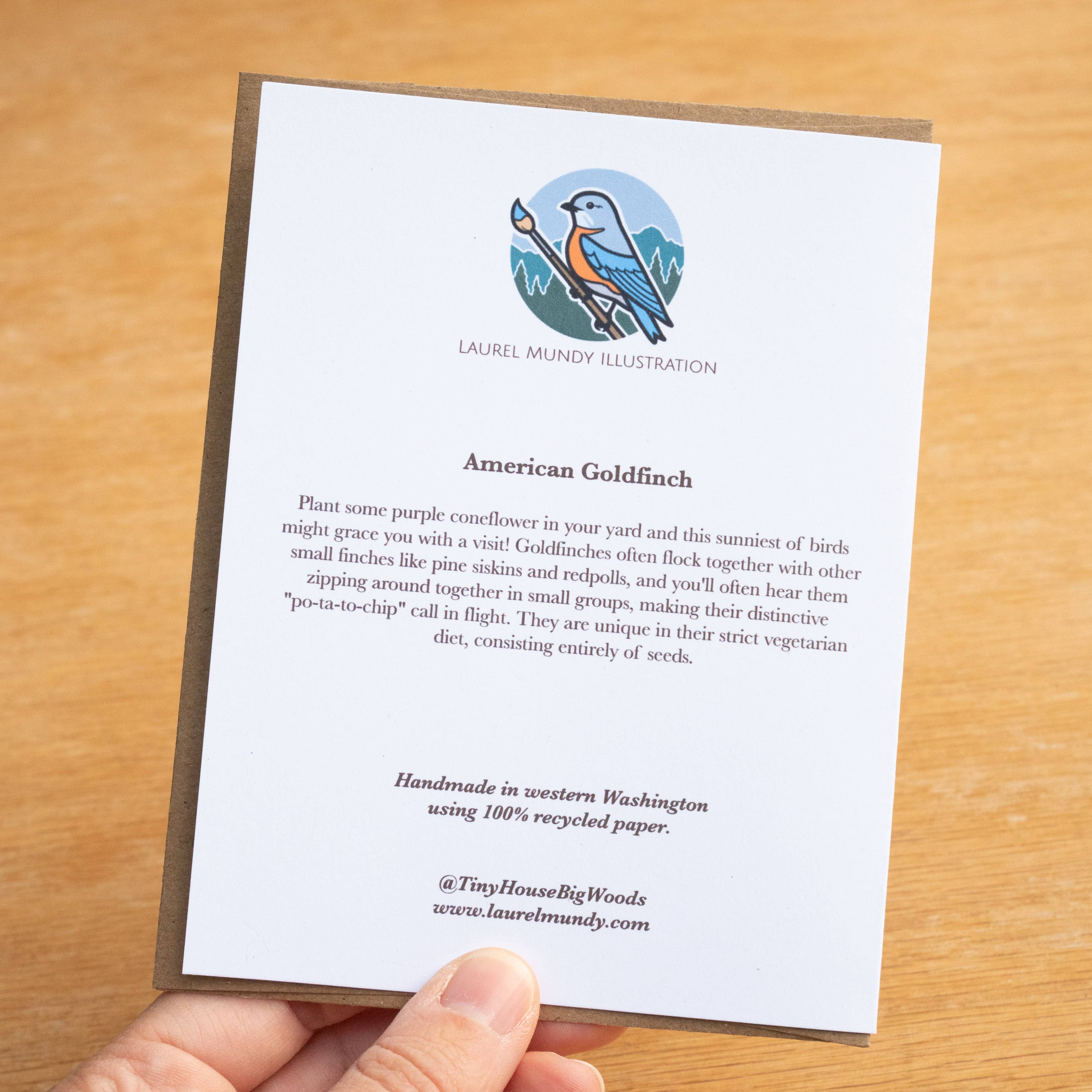 Laurel Mundy Illustration - Wholesale Everyday Greeting Card - Goldfinch on Coneflower Greeting Card 100% Recycled Paper2