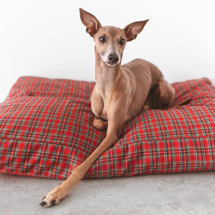 B de Bruno ES - Wholesale Pet Bed - Dog - Basic Removable Cover Bed Christmas Edition