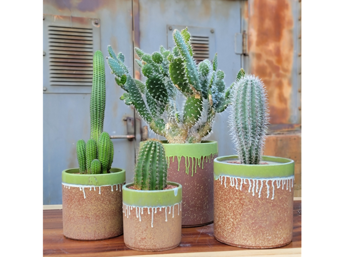 Pacific Home & Garden - Wholesale Plant Pot - Areca Palm Planter Set In Green Continental Sand0