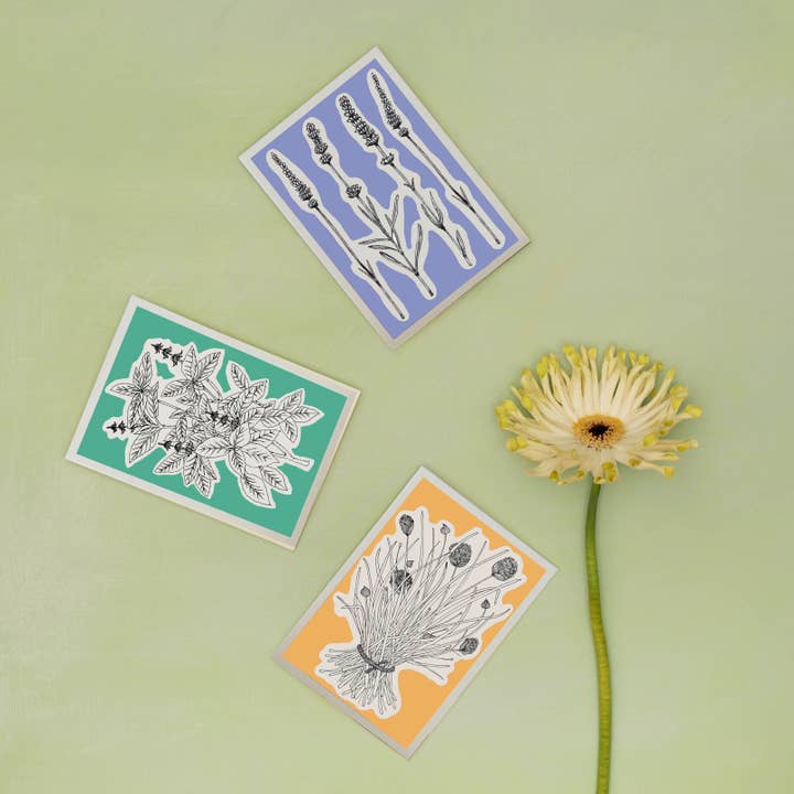 Studio Wald - Wholesale Everyday Greeting Card - All Occasions Greetings Cards - Herbs Line
