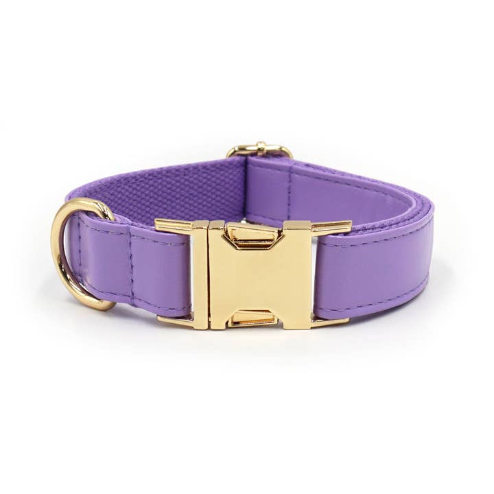 Toby Supply - Wholesale Pet Collar - Dog - Premium Leather Dog Collar – Classic Style_CWMM7075