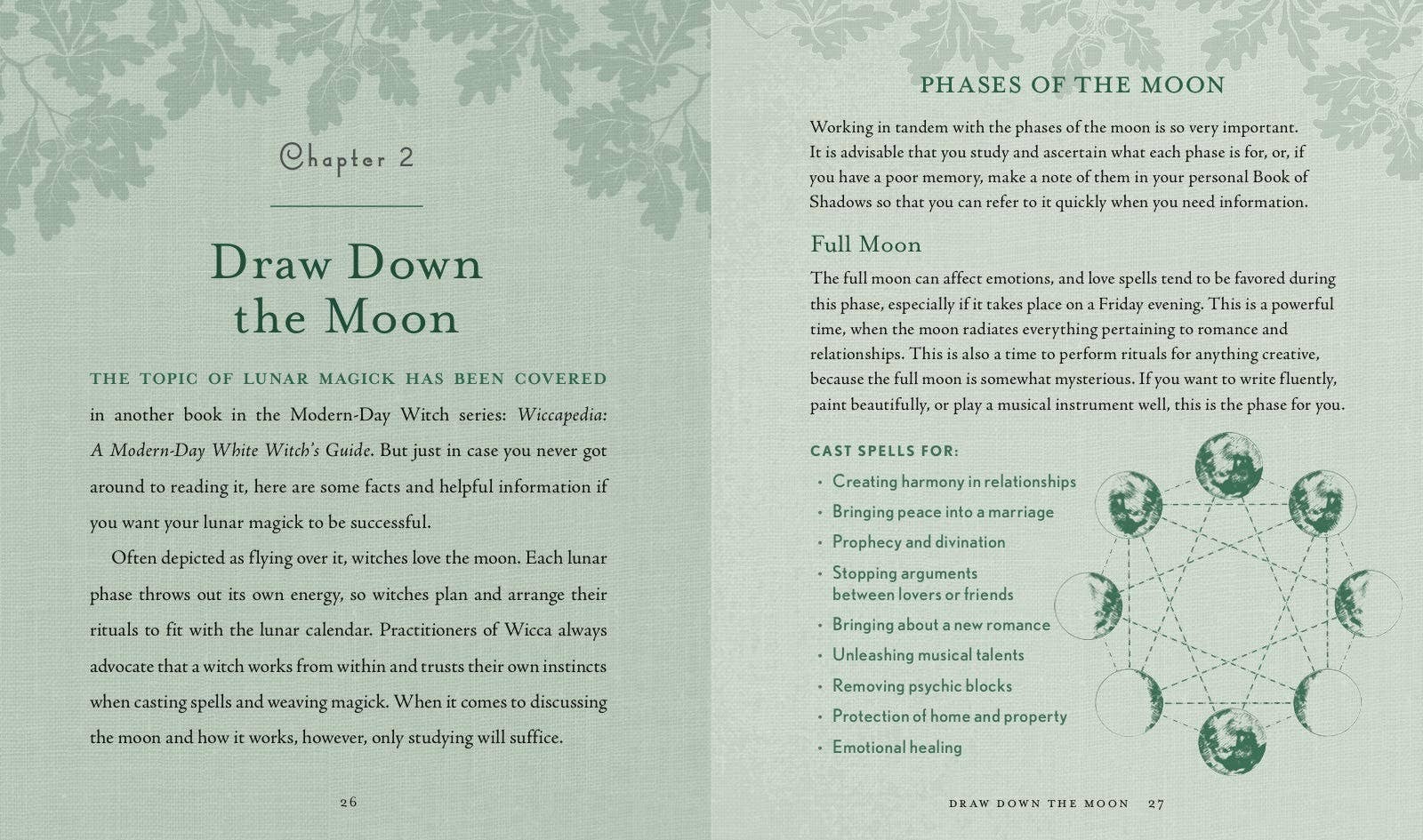 Hachette Book Group - Wholesale Body, Mind & Spirit Book - Witch's Way by Shawn Robbins5