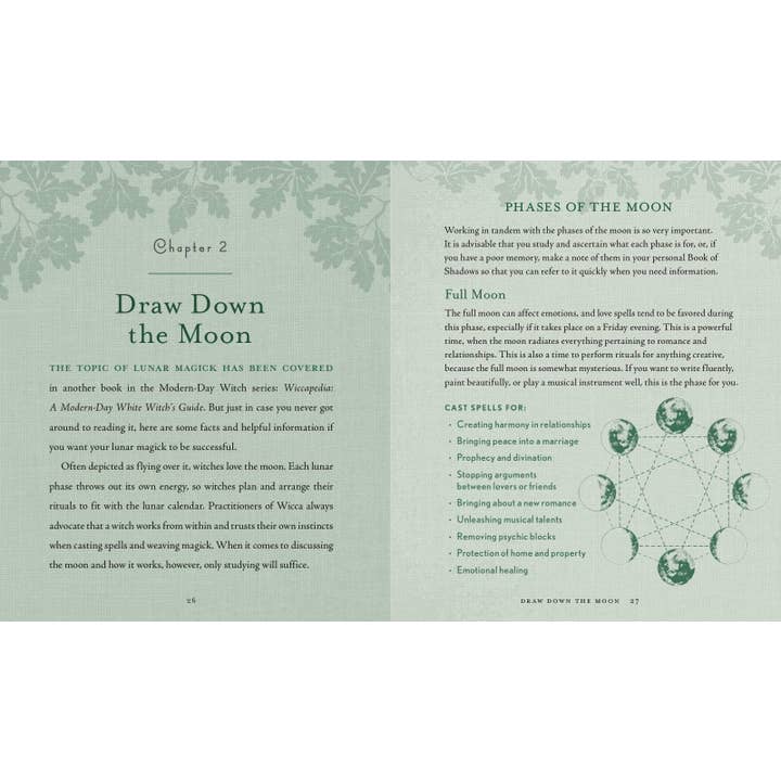 Hachette Book Group - Wholesale Body, Mind & Spirit Book - Witch's Way by Shawn Robbins5