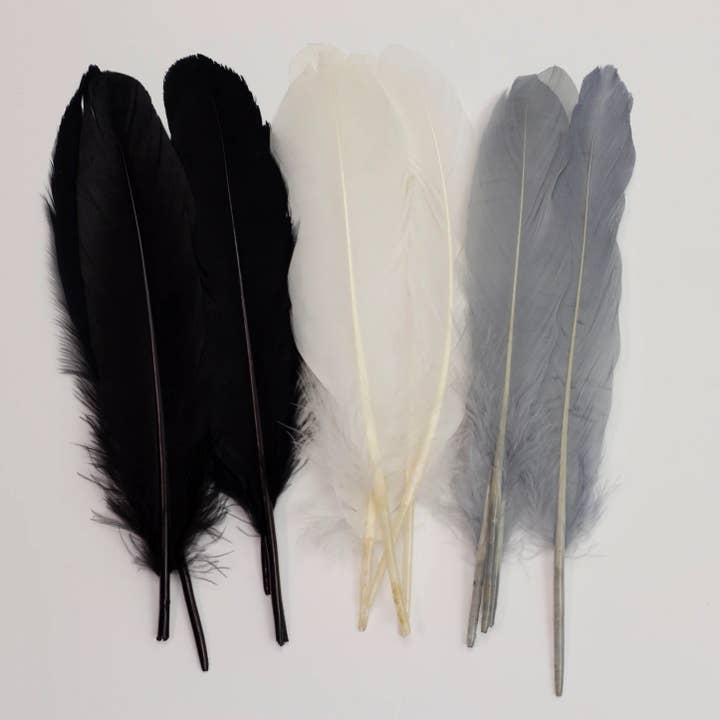 Zucker Feather Products – wholesale Craft supplies – Goose Feathers 7-8" - 12 pcs - Black and White2