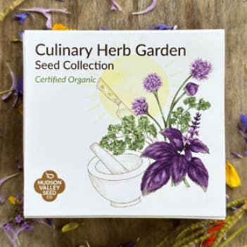 Culinary Herb Garden Gift Box 6-Pack for wholesale by Hudson Valley Seed Company