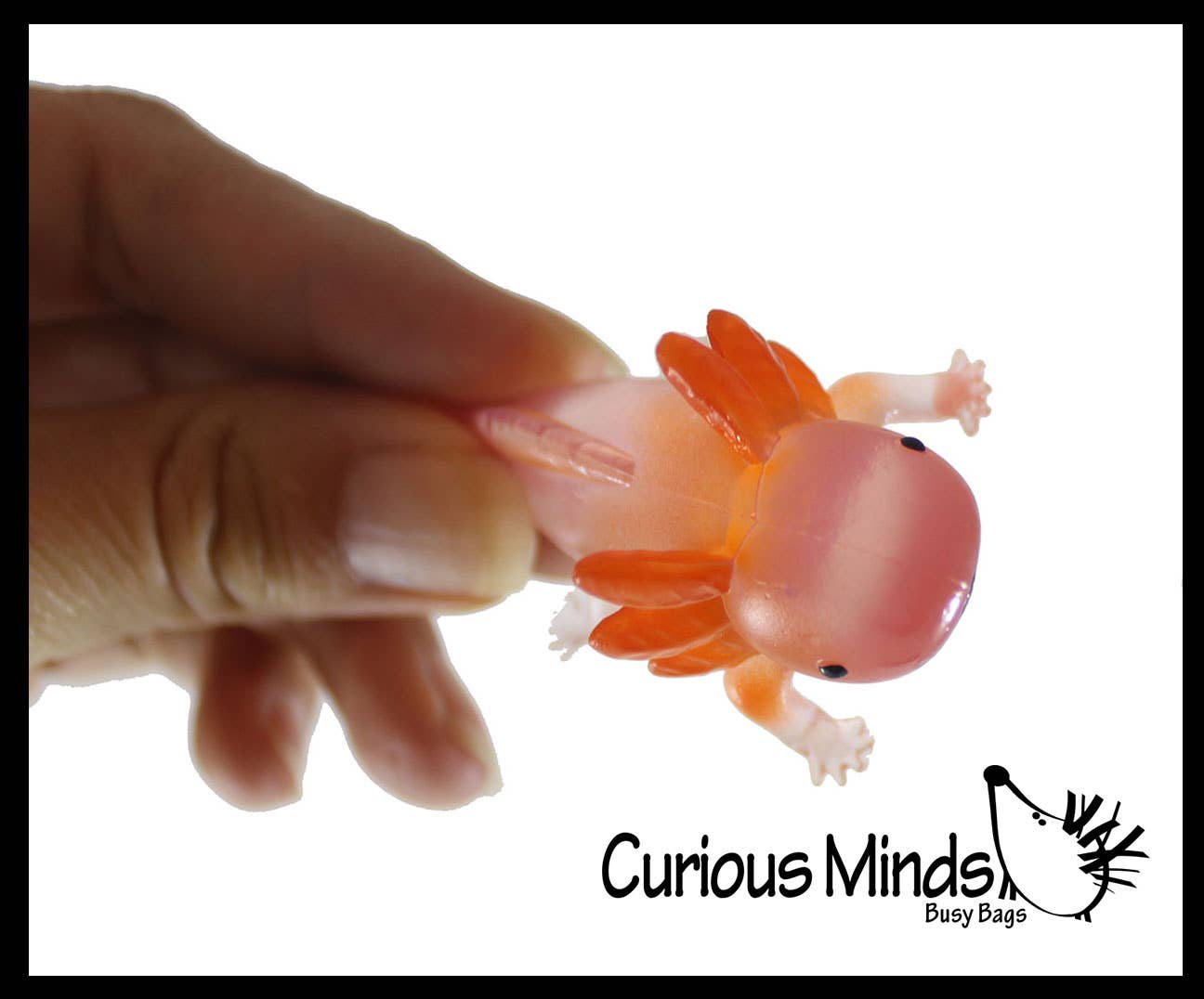 Curious Minds Toys – wholesale Fidget Toy - Barn – 1 påse med 12 realistiska 2,5" färgglada små axolotler-figurer7
