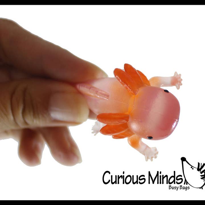 Curious Minds Toys – wholesale Fidget Toy - Barn – 1 påse med 12 realistiska 2,5" färgglada små axolotler-figurer7