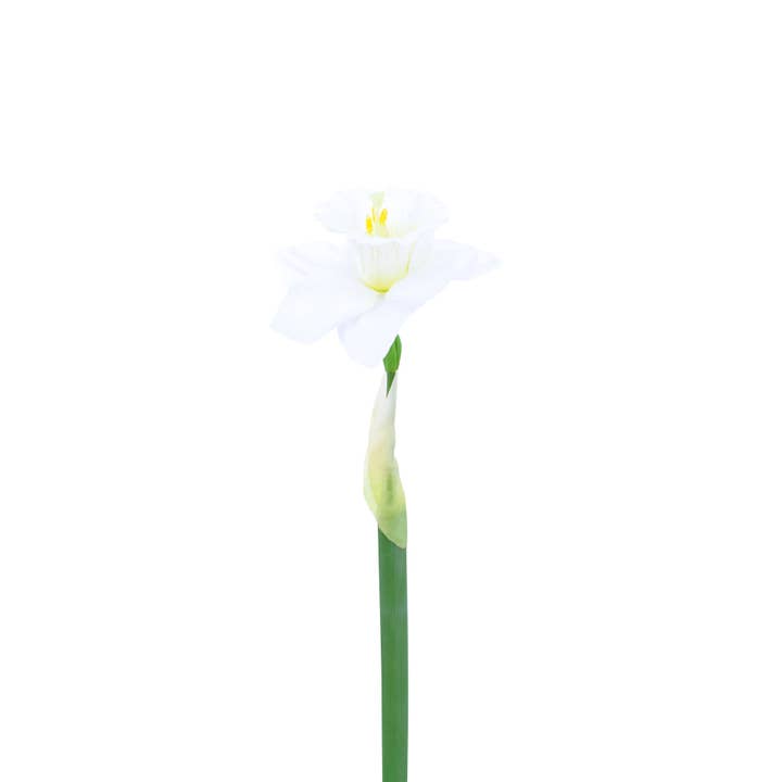 WH FL11255 NARCISSUS,21.5in-24P/240/3.25' for wholesale on Faire