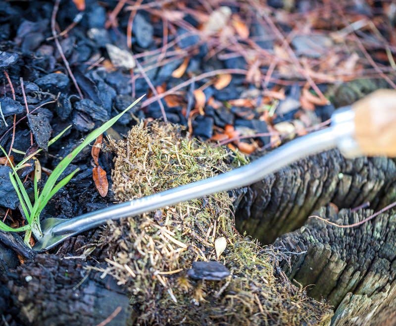 Schnittzeiten – ferramenta de jardinagem por atacado – gravador de dente de leão1