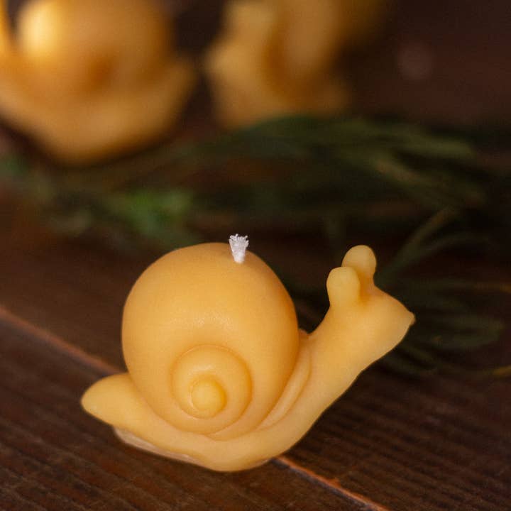 The Ramblin' Bee - Wholesale Novelty Candle - Snail Beeswax Candle