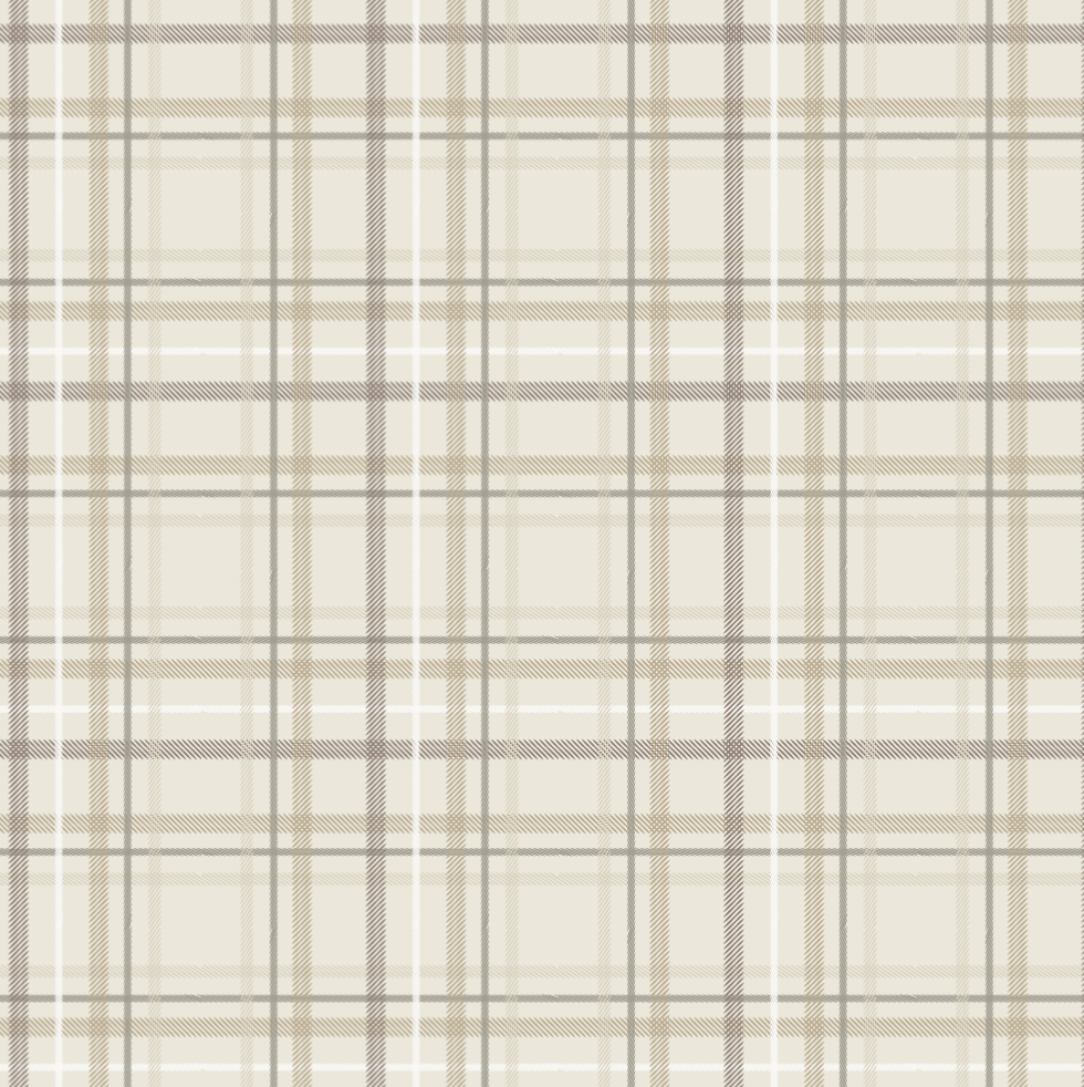 Saranoni - Wholesale Receiving Blanket - Baby - MINKY STRETCH RECEIVING BLANKETS31