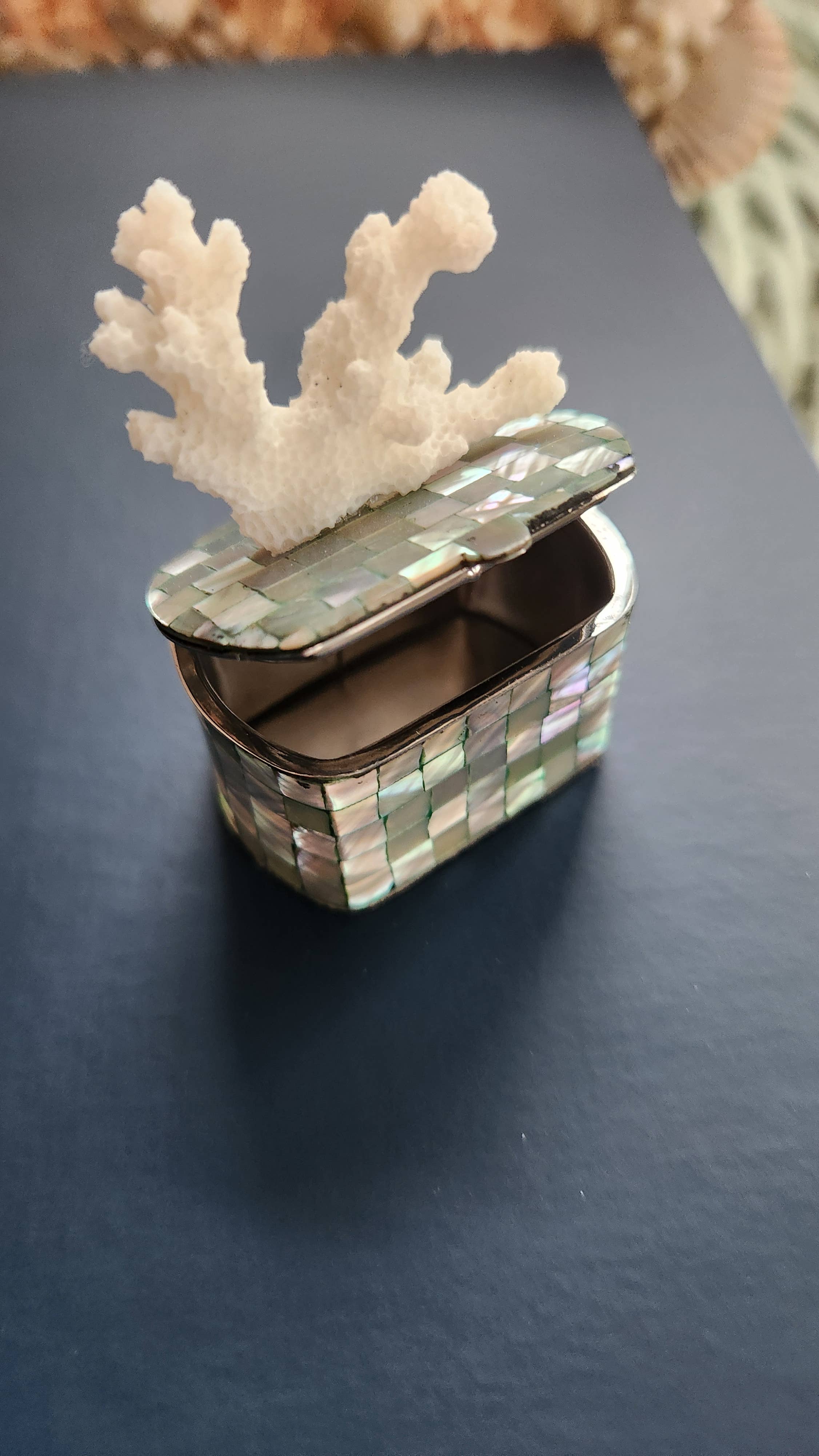 White Tulip Boutique - Wholesale Decorative Box - Mini Abalone MOP Shell Trinket Pill Box8