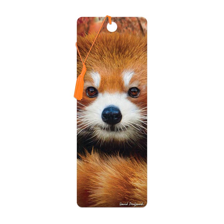 Trendzz For You – wholesale Bookmark – 3D Baby Red Panda Bookmark