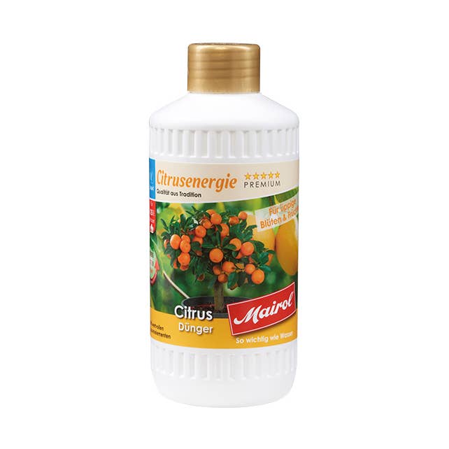 MAIROL Citrus Fertiliz. 500 ml sund frugt for engroshandel hos Mairol