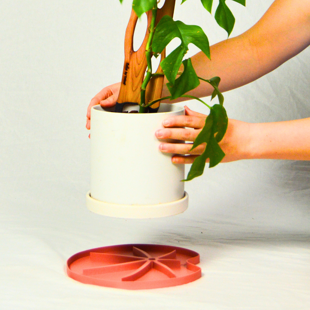 Treleaf - Wholesale Plant pot - Lili Sausr - Lilly pad shaped Saucer - Spill tray - Drip tray for houseplants - Humidity tray8