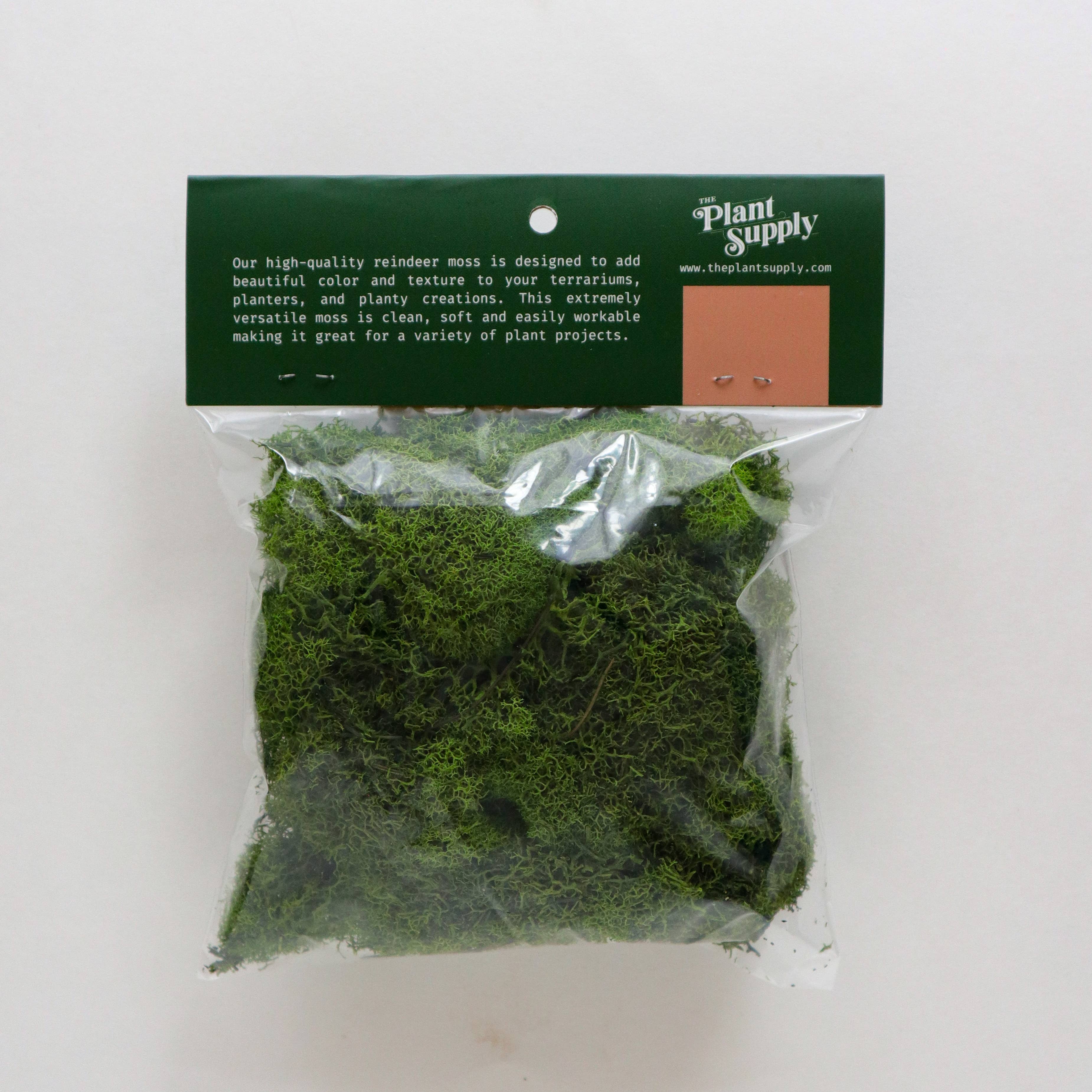 The Plant Supply - Wholesale Planting/Potting Soil - Preserved Reindeer Moss | Moss for Plants and Crafts13