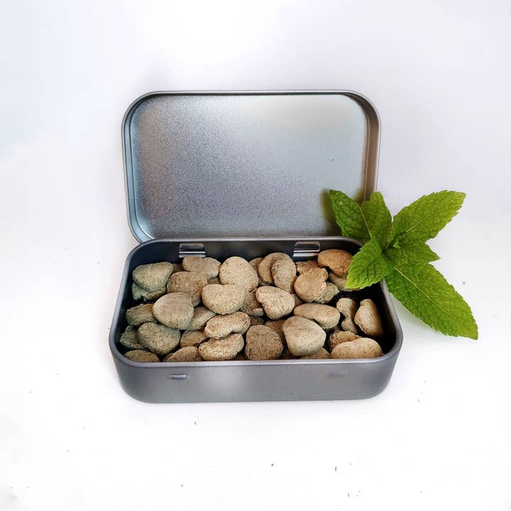 Dentifrice solide à la menthe 50 g pour la vente par Ommbio