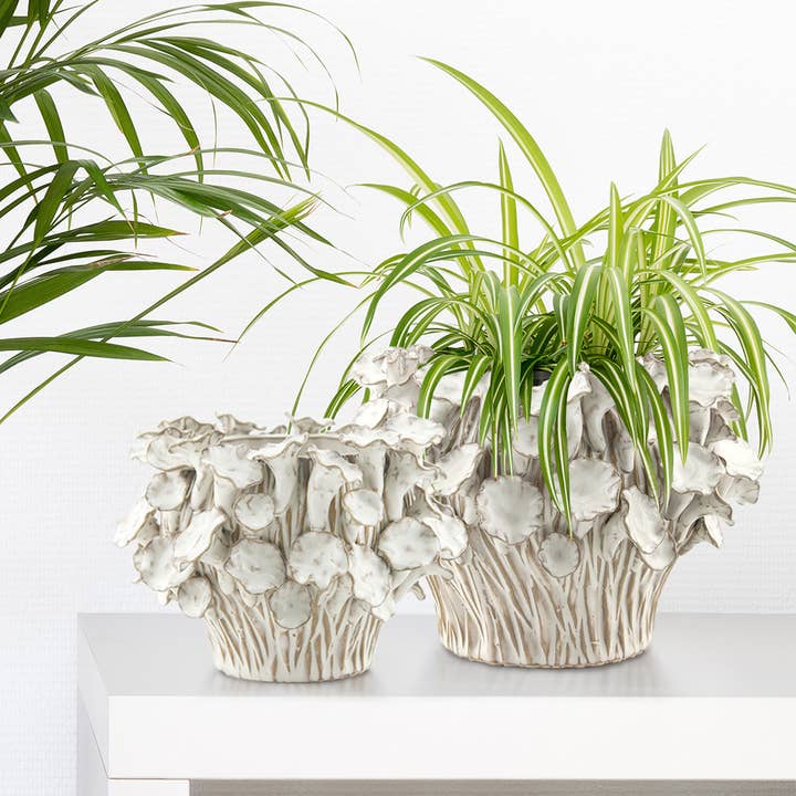 6.5" Top | Fine Ceramic Blooming Planter, White for wholesale on Faire