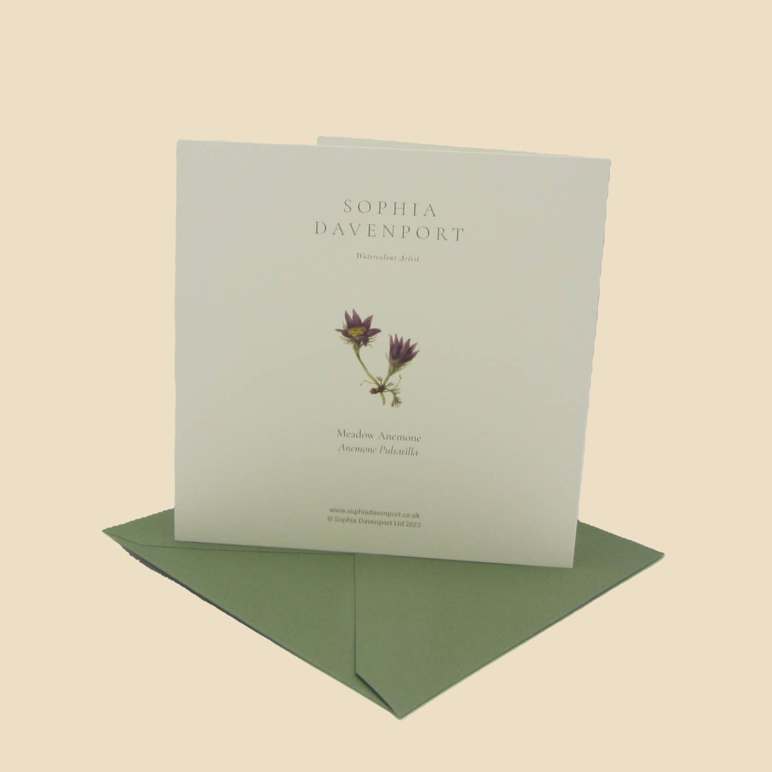 Sophia Davenport - Wholesale Everyday Greeting Card - Wildflower Greeting Cards and Notelets37