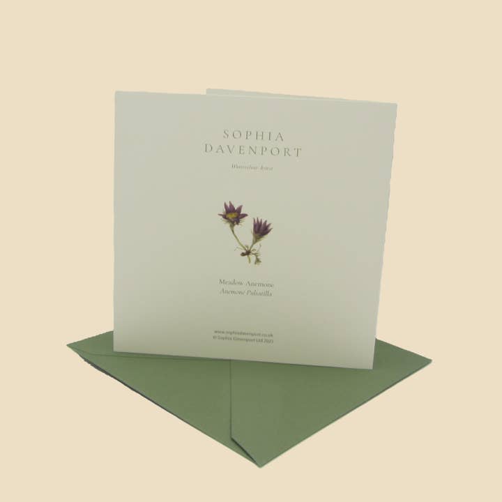 Sophia Davenport - Wholesale Everyday Greeting Card - Wildflower Greeting Cards and Notelets37