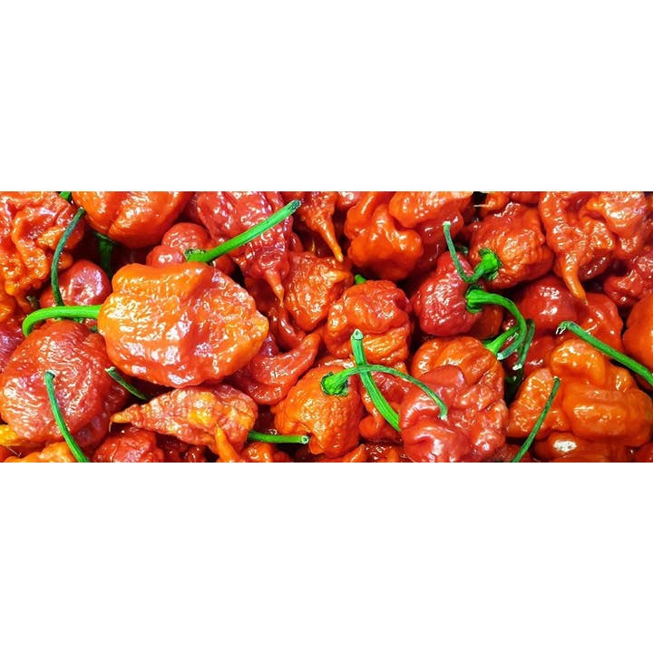 Welshhomestead Smokery – Geleia por atacado – Compota de Malagueta Fumada Carolina Reaper4