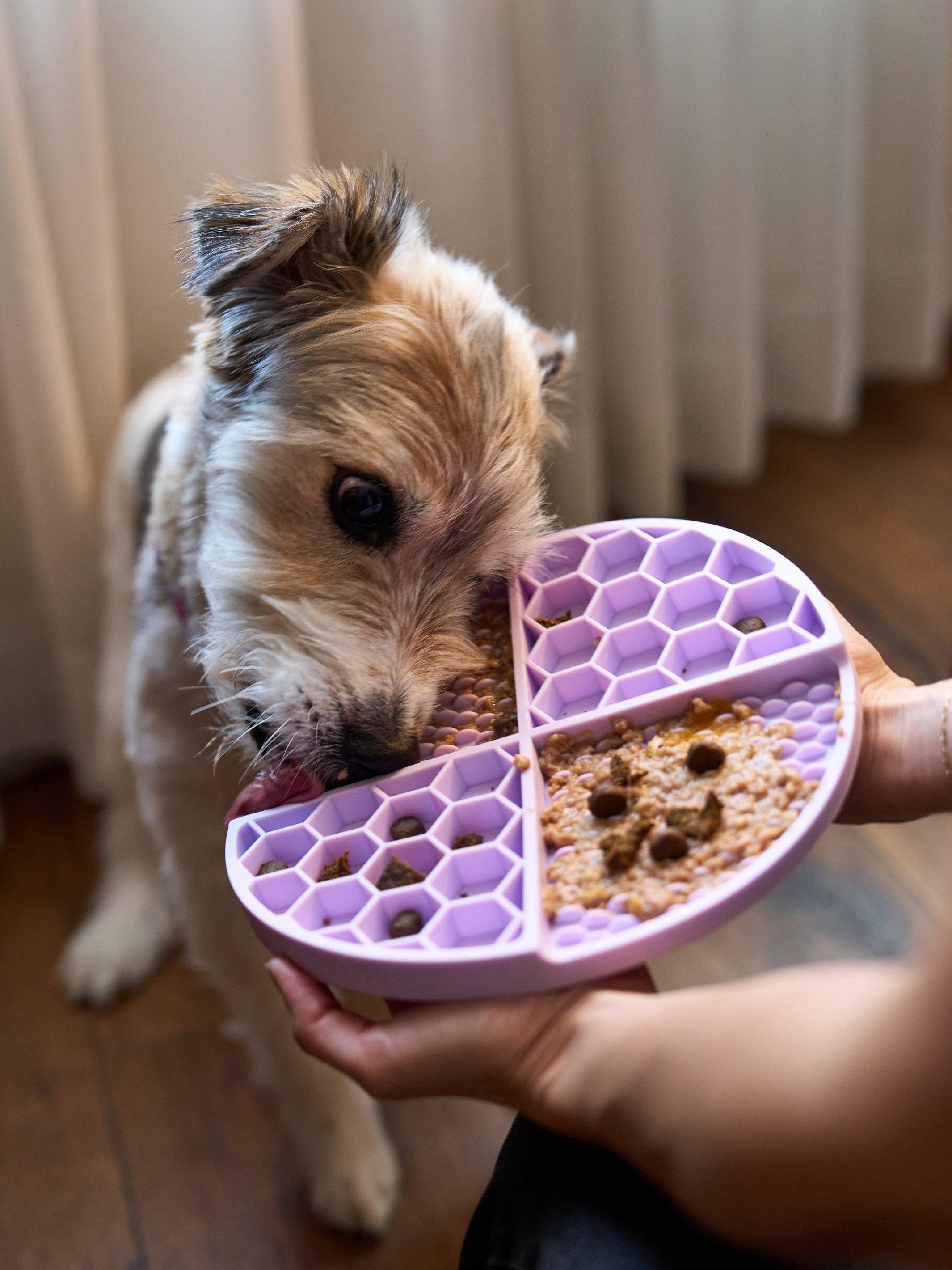 Dukier - Wholesale Pet Food Mat - Dog - PURPLE DOG LICK MAT5