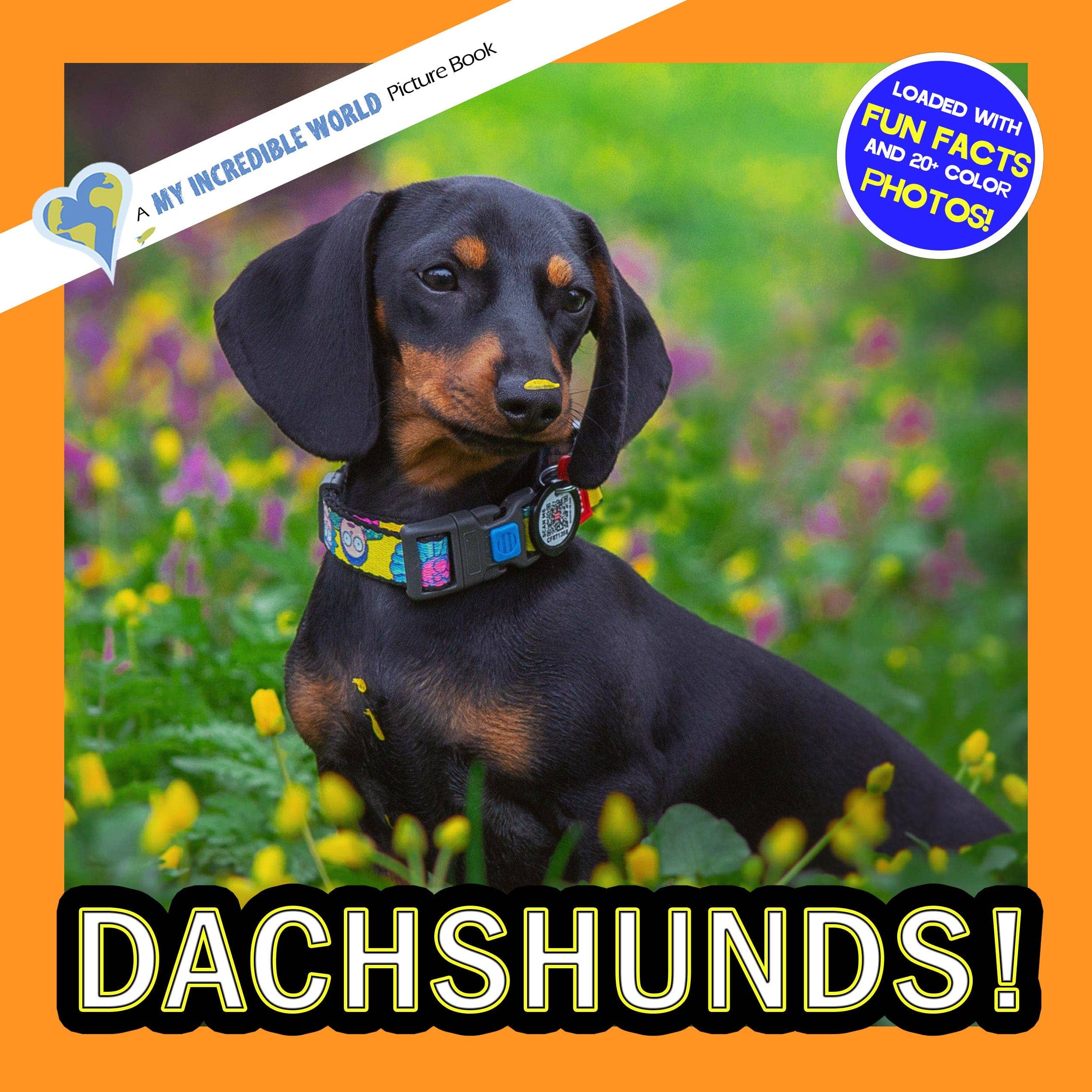 My Incredible World - Wholesale Pets - Dachshunds! A My Incredible World Picture Book for Children0