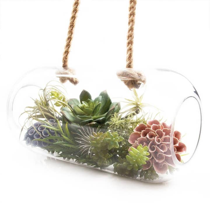 Chive - Wholesale Terrarium - Bolsk - Large Thick Glass Terrarium Container