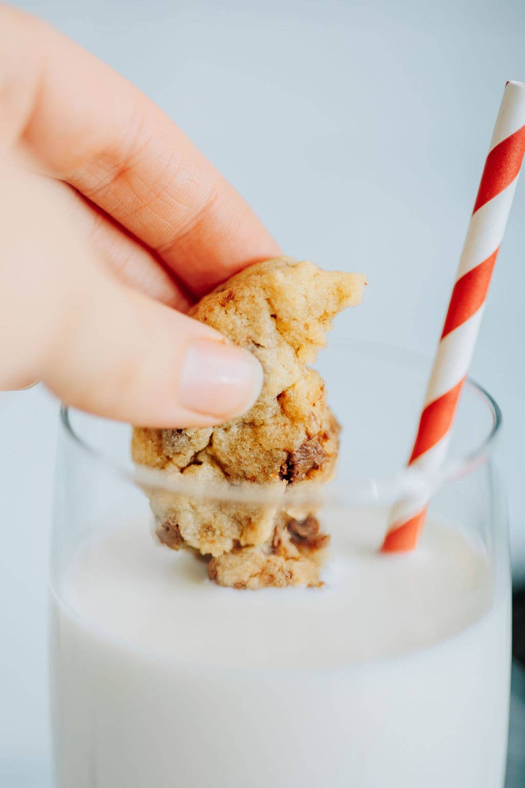 Lehi Mills - Wholesale Cookie Mix - Chocolate Chip Cookie Mix3