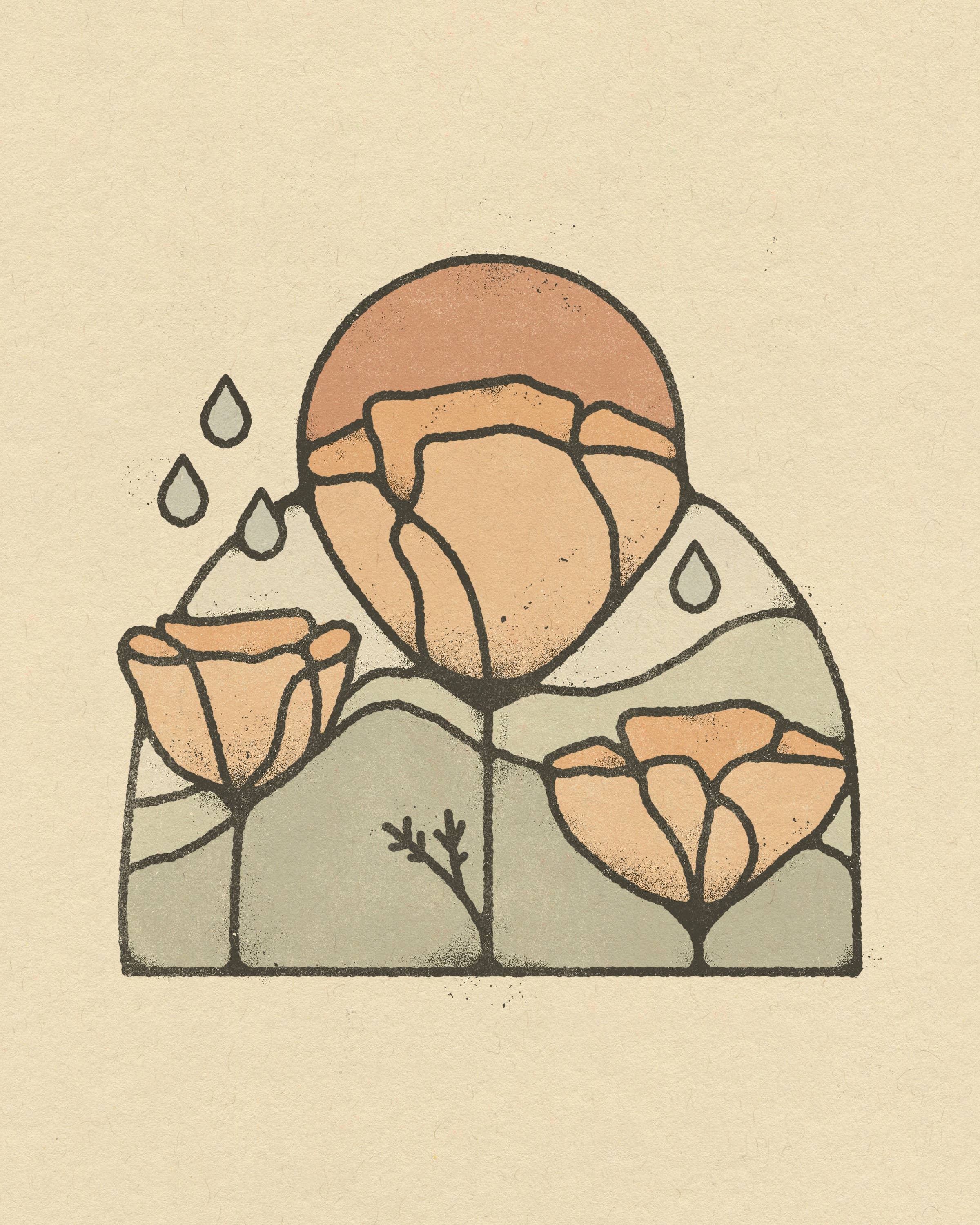 Amber Morgan - Wholesale Art Print - California Poppies 8x10 Art Print