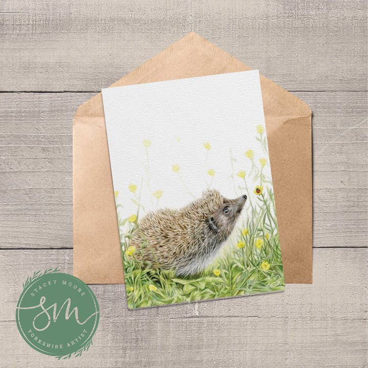 Tarjeta de felicitación de erizo y mariquita para venta al por mayor de Stacey Moore Ltd