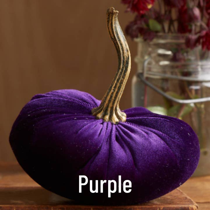 Your Heart's Content - Wholesale Decorative Tabletop Object - Pumpkin Large Velvet, Fall Mantel Decor, Halloween Table23