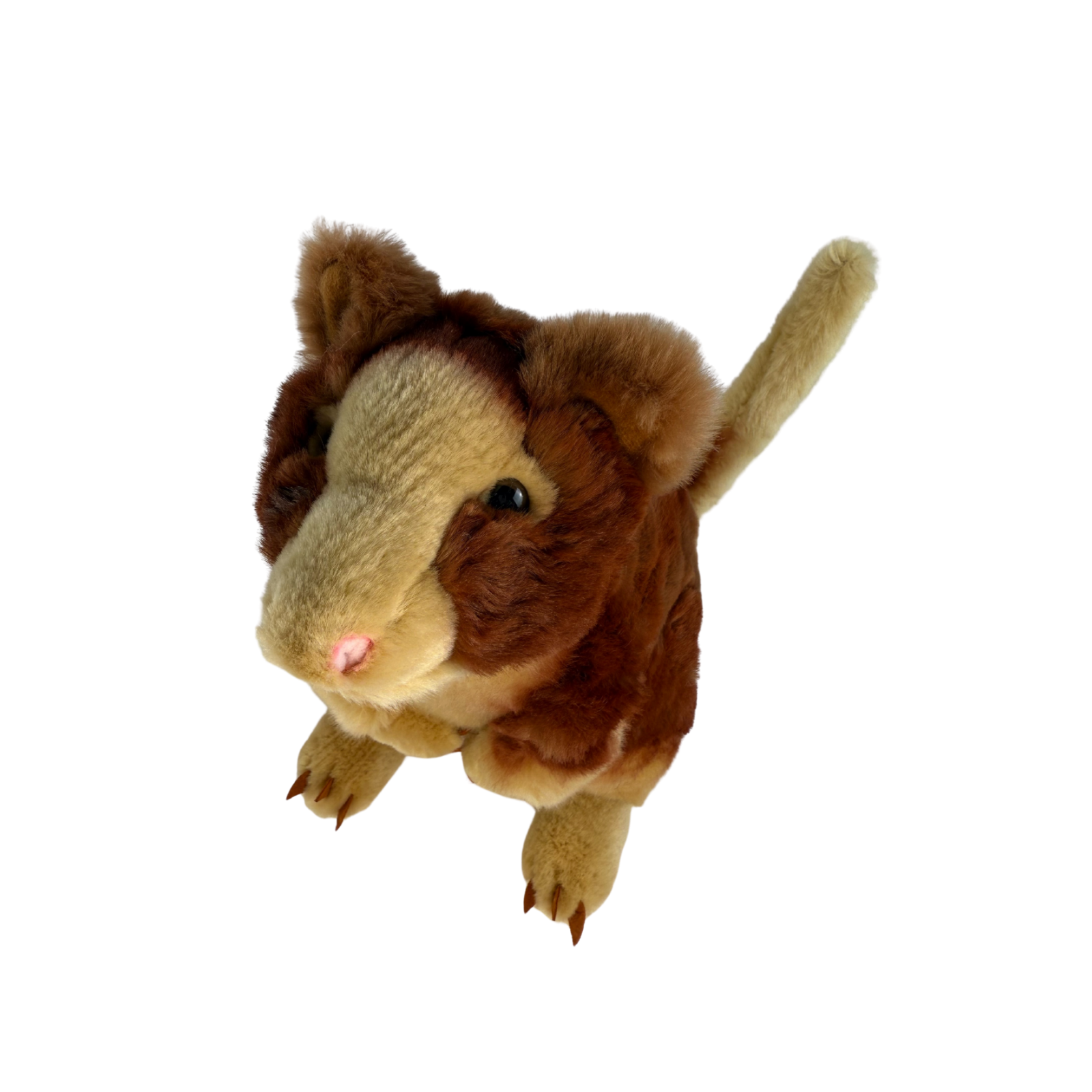 Bocchetta Plush Toys - Wholesale Stuffed/Plush Toy - Kids & Baby - Rufus - Red Tree Kangaroo - 25cm3
