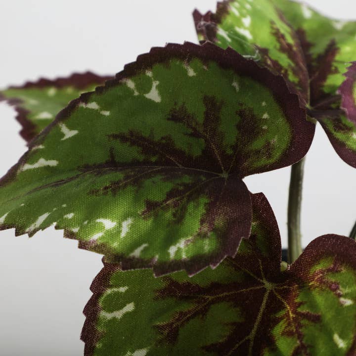 B&B - Wholesale Plant Pot - Plant, Plastic, Green Color, 22X22X19cm1