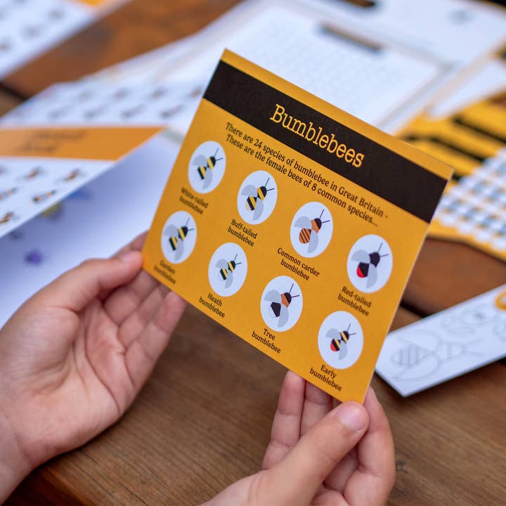 Urbee – Engroshandel Læringskort - Børn og baby – Bee Box - kun tilgængelig i Storbritannien2