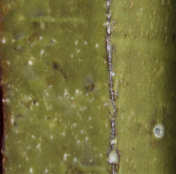 Bauer Pottery – Großhandel Tischdeko – Bauer Accents Ziegelsteine 10 x 18 cm1