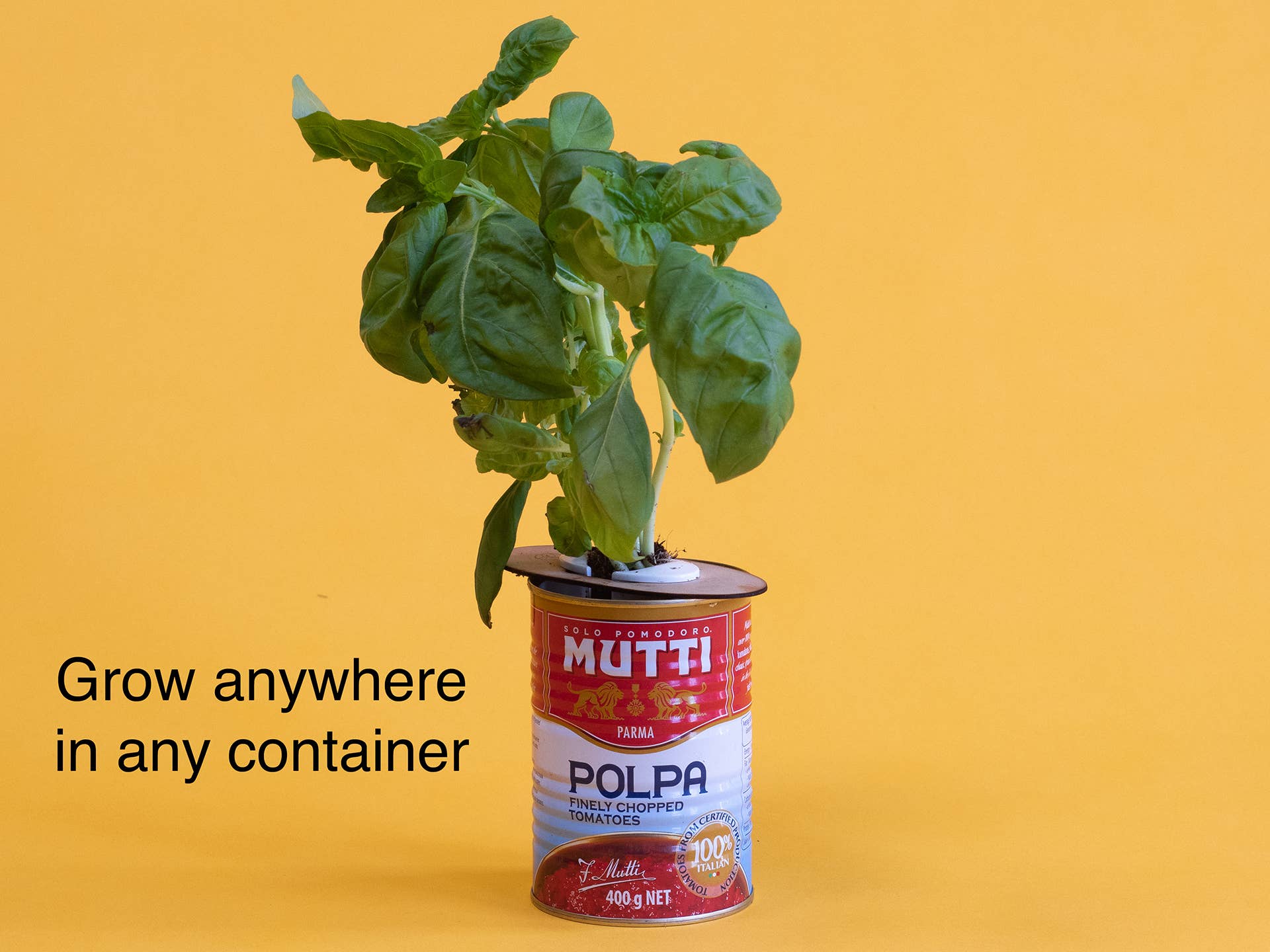 Shroot: Kabloom Seedboms - Wholesale Plant Seeds - Bottle Farm Mini Kit - Indoor Hydroponic Herb Basil Grow Kit3