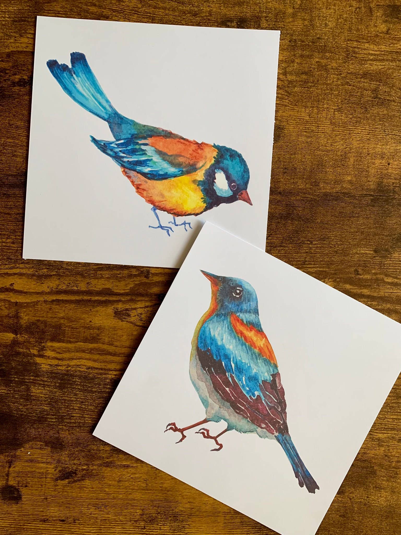 Magnifique Hearts – Großhandel Kunstdruck – Niedliche ornithologische Drucke, 8x8 Zoll, Vogeldrucke1