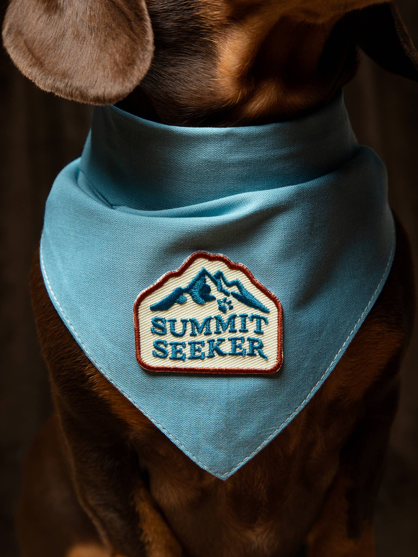 Scout's Honour Pty Ltd - Wholesale Pet bandana – Dog - Summit Seeker iron-on patch for dogs and cats