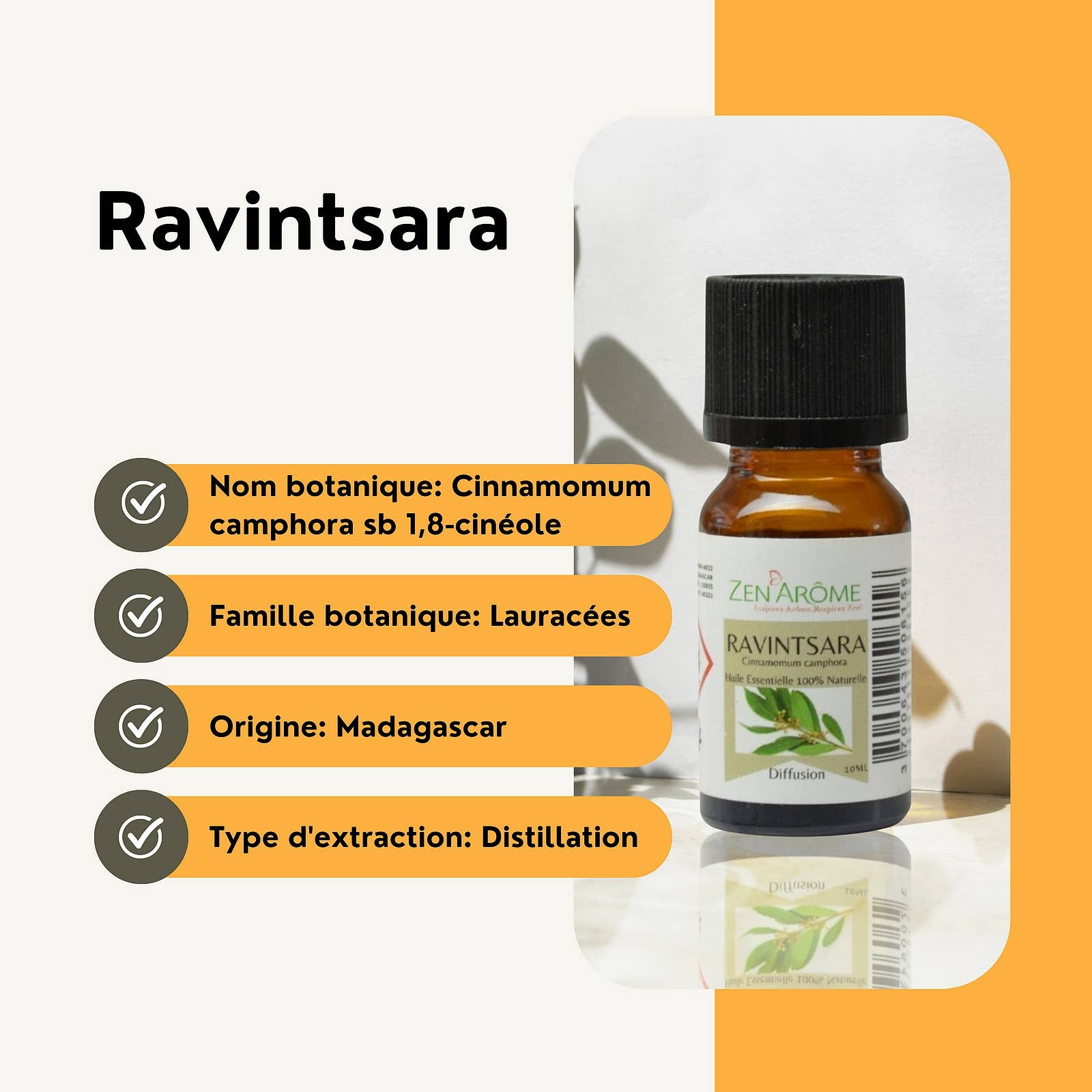 Zen'Arôme – Großhandel Ätherisches Öl – Ravintsara ätherisches Öl - 100% natürlich - 10ml5