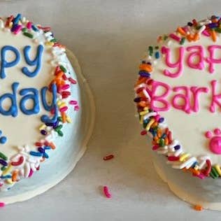 Taj Ma-Hound Bakery for Dogs - Wholesale Pet Treats - Dog - Yogurt Covered Sprinkle Cake w/Blue Writing