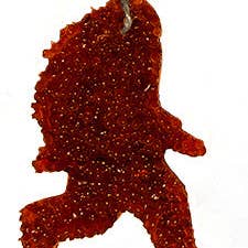 Profumatore d'Aria Trade Ale Sasquatch per la vendita all'ingrosso da parte di TRADE Supply Co.