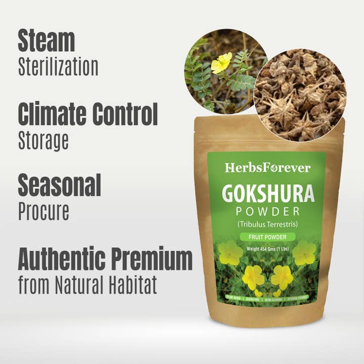 HerbsForever - Wholesale Protein/Superfood Powder - Gokshura Powder (Tribulus Terrestris) Non GMO Vegan5